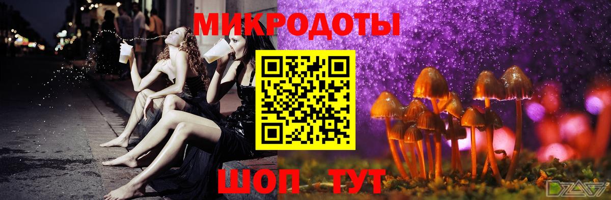 Псилоцибиновые грибы Magic Shrooms  Псилоцибиновые грибы мухоморы  цена   Вход с VPN  Димитровград 